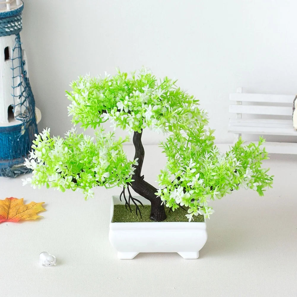 Bonsai Elegante Premium