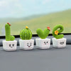 Miniatura de Planta Suculenta Decorativa Premium