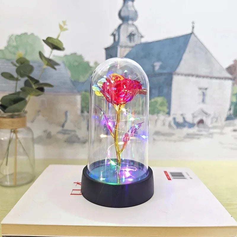 Rosa Eterna Premium