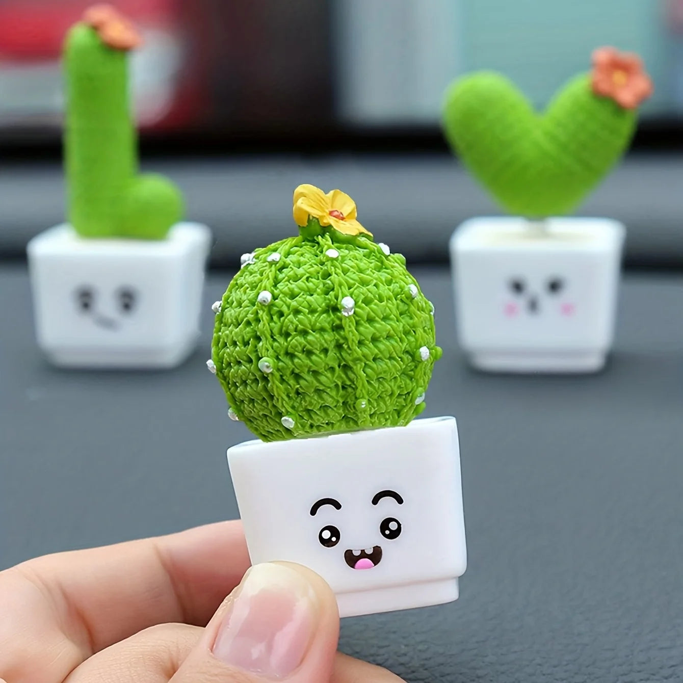 Succulent Elegante