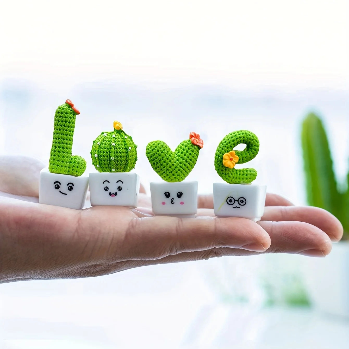 Succulent Elegante