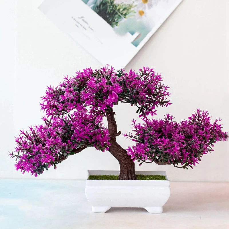 Bonsai Elegante Premium