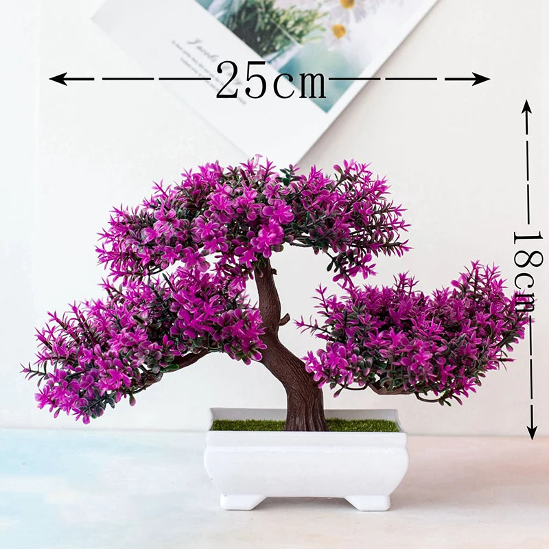 Bonsai Elegante Premium