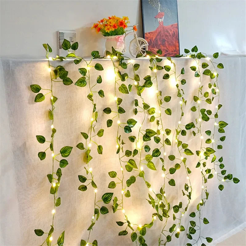 Luzes Elegantes LED