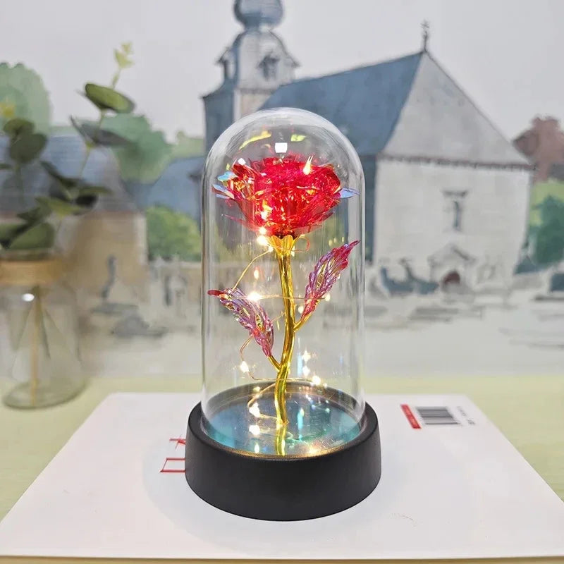 Rosa Eterna Premium