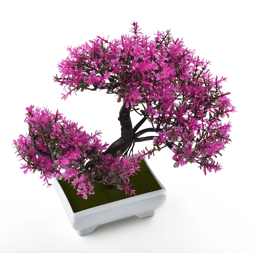 Bonsai Elegante Premium