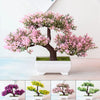 Miniatura de Planta Suculenta Decorativa Premium